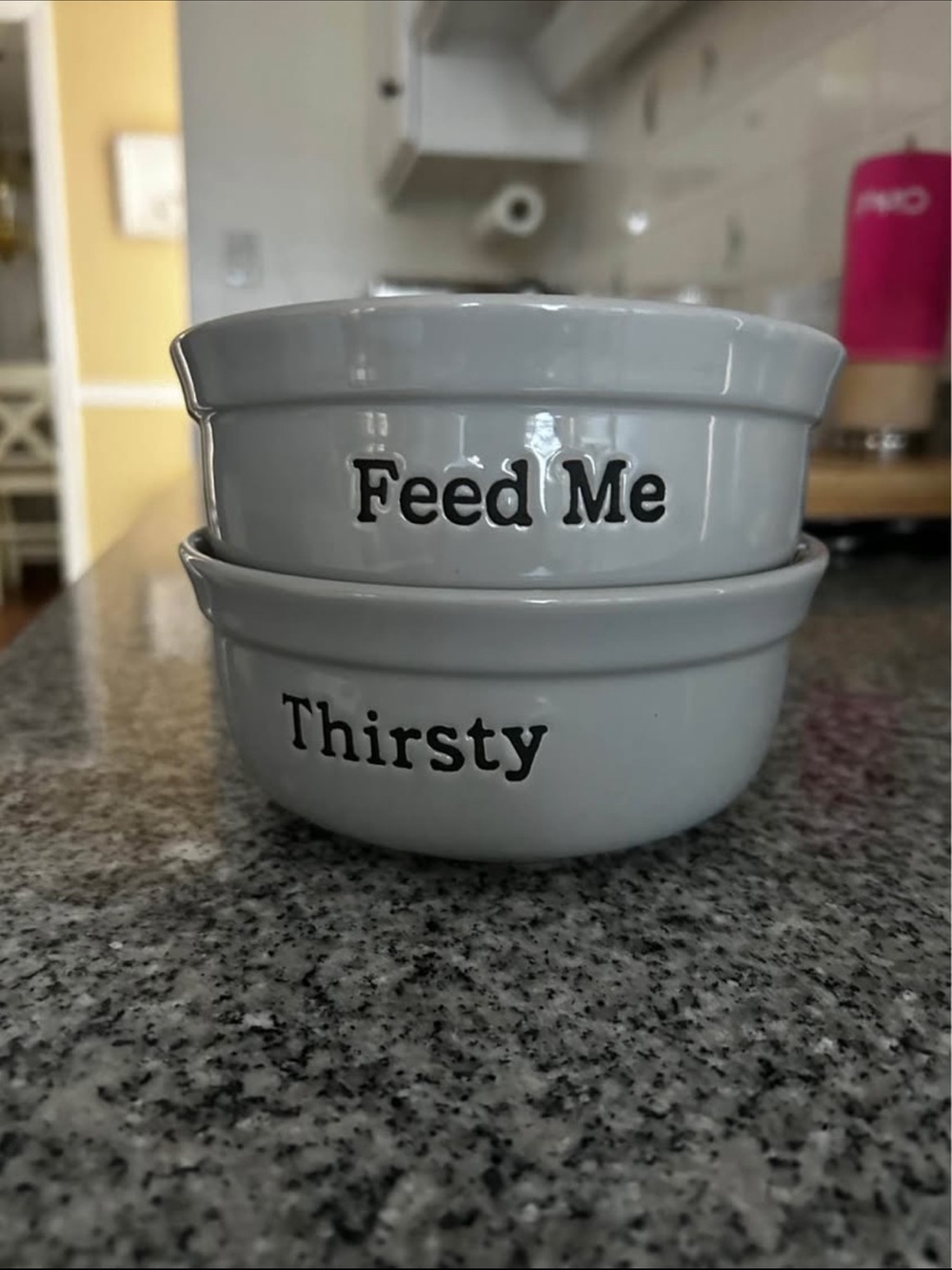 Ceramic Pet Bowls Set - White "Feed Me" & "Thirsty"
